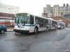 New Flyer D60HF 5537