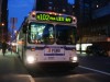 New Flyer D60HF 5619