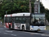 MAN NL-313