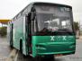 Northern Israel Egged Intercity Buses