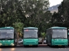 Mercedes-Benz OC500 35618, Volvo B10B 58545, Volvo B101B 55913