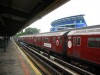 WF R36 9394