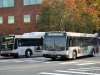 Gillig Advantage 911 (right) and Gillig Advantage/CNG 264
