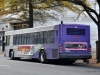 Gillig Advantage 114