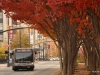 Gillig Advantage 906