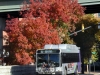 Gillig Advantage/CNG 501