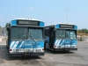Gillig Phantom 5356 & Gillig Phantom 5354