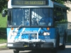 Orion I 5545