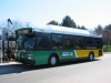 Orion VII/CNG 5916