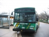 Orion VII/CNG 5904