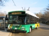 Orion VII/CNG 5907