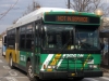 Orion VII/CNG 5953