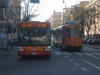 Stanga 7007