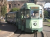 Stanga 7019