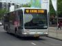 Rotterdam Buses