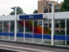 Rhoon