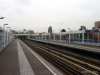 Rhoon