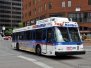 RTD Buses