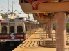 Silverliner V 703