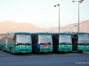 Mercedes-Benz OC500 42143, Mercedes-Benz OC500 42218, DAF SB4000, Mercedes-Benz OC500 34009
