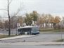 STM Buses