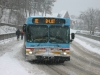 New Flyer D40LF 202