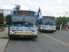New Flyer D40LF 207