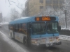 New Flyer D40LF 209