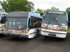 NovaBUS LFS 101
