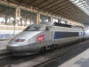 TGV Paris Sud-Est trainset 83