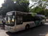 Golden Dragon Intercity Bus