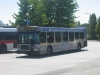 New Flyer D40LF 2019