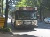 New Flyer D40LF 2508
