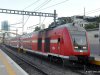 DSC_4510