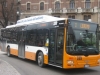 MAN Lion's City/CNG 335