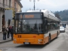 MAN Lion's City/CNG 335