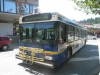 New Flyer D40LF 964