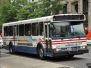 WMATA Metrobus 2000 Orion V Buses