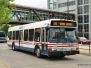 WMATA Metrobus 2000 Orion VI Buses