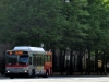 Orion VII/CNG 2610