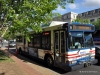 Orion VII/CNG 2519