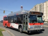Orion VII/CNG 2639