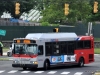 Orion VII/CNG 2654