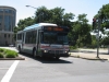 Orion VII/CNG 2598