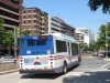 Orion VII/CNG 2598