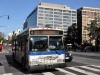 Orion VII/CNG 2655