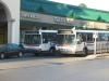 Flxible Metro-B 9257 & Flxible Metro-B 9262