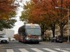 NABI 42-BRT Hybrid 8095