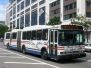 WMATA Metrobus Neoplan AN460A Articulated Buses
