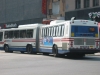Neoplan AN460A 5308
